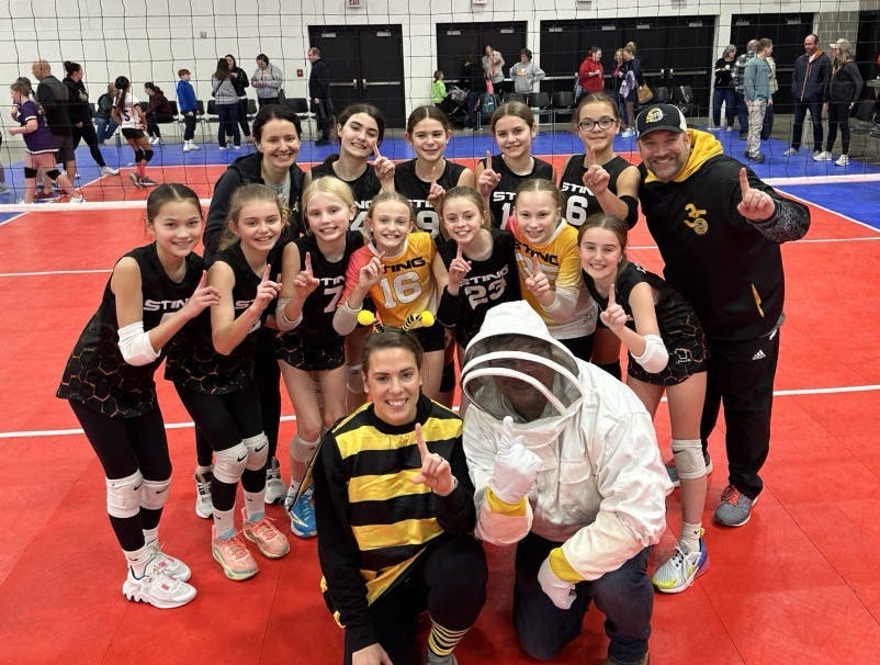 Sting 11 Gold - 11 National Division