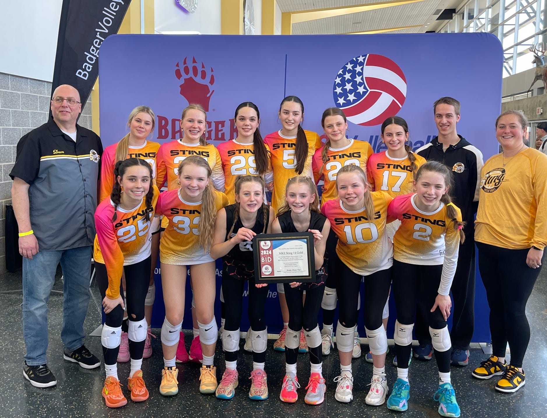 Sting 11 Gold - 11 National Division